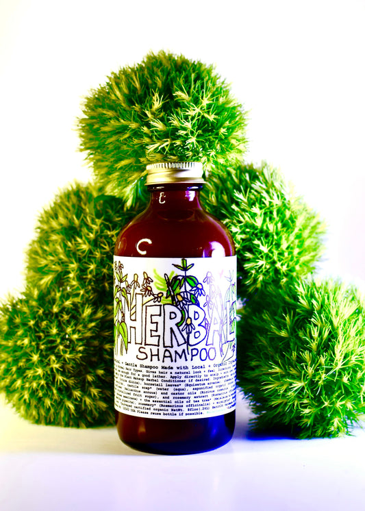 Herbal Shampoo