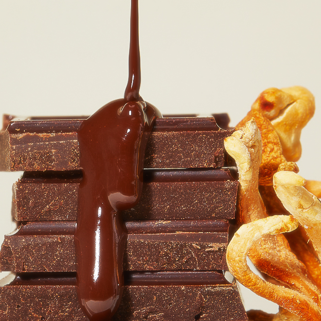 Cordyceps Chocolate