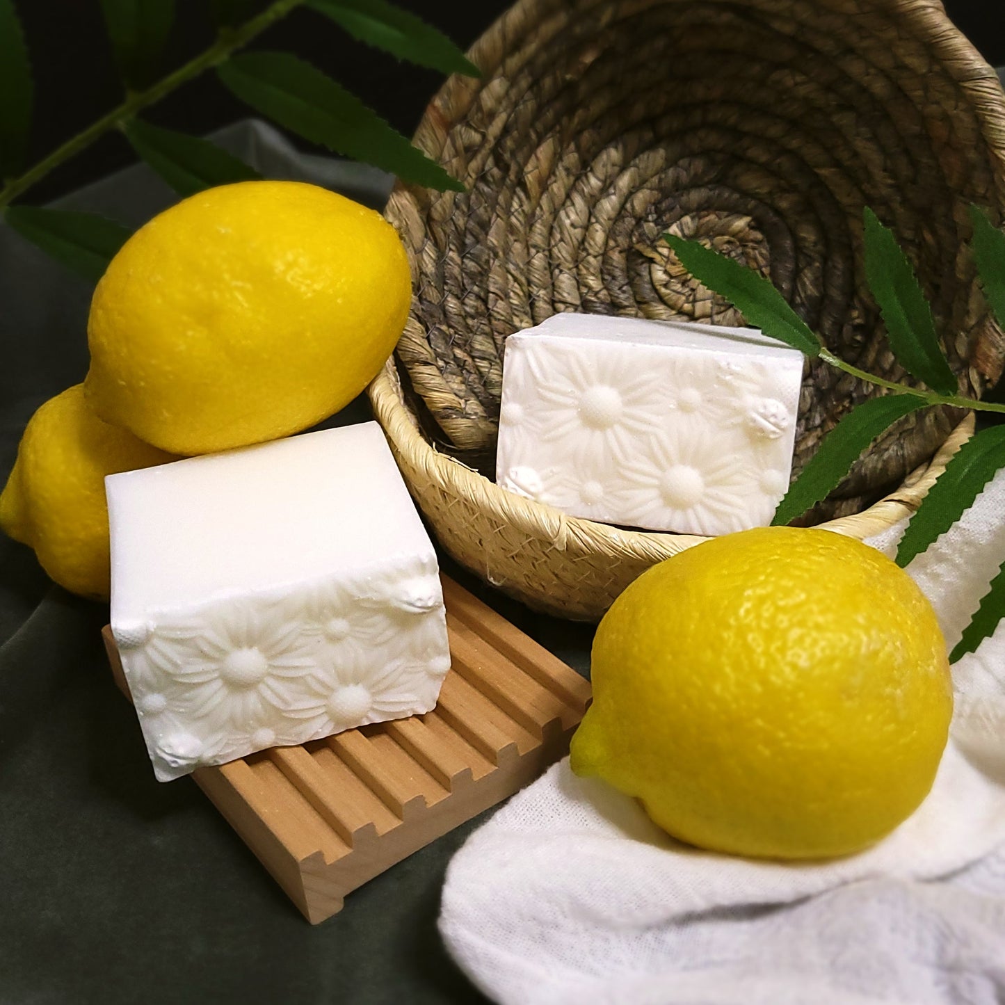 Dish & Laundry Soap Block