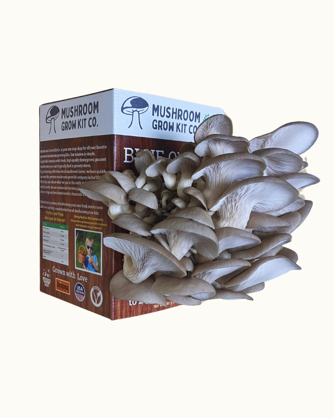 Premium Blue Oyster Mushroom Growing Kit - 5 LBS