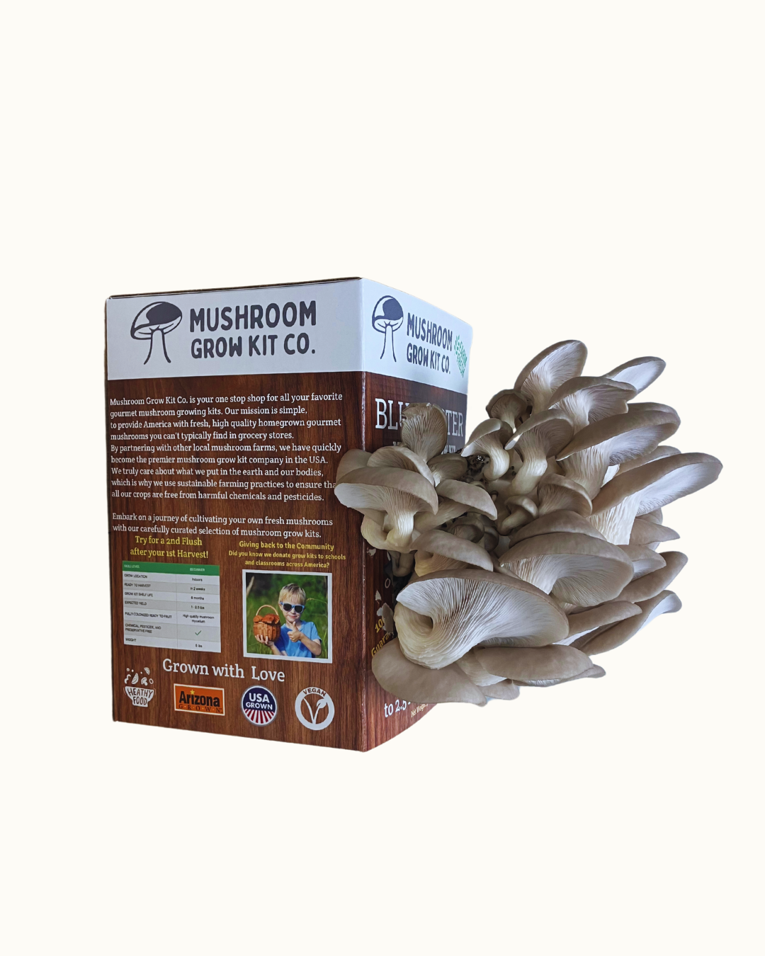 Premium Blue Oyster Mushroom Growing Kit - 5 LBS