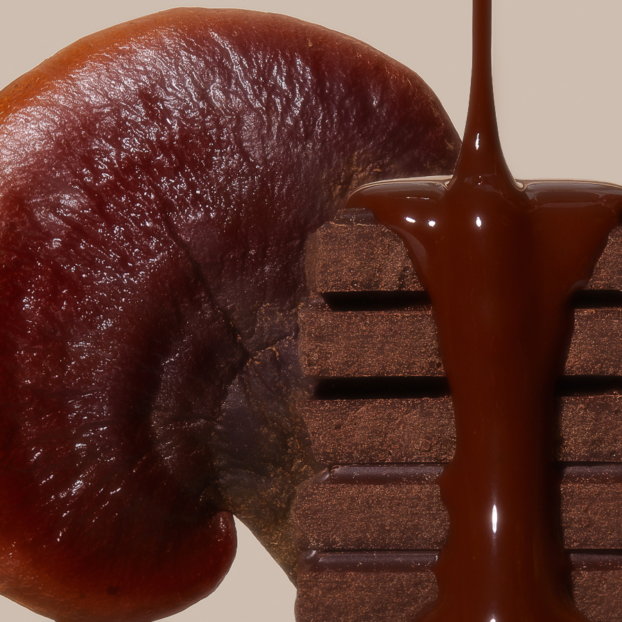 Reishi Chocolate